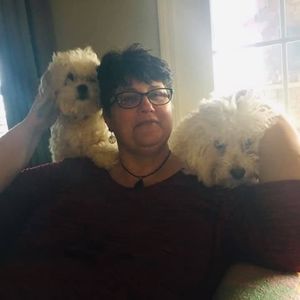 Meet your Posher, Bobbi